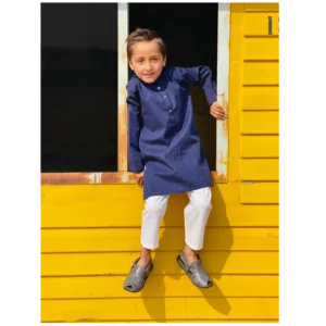 Blue Berry Kurta Trouser Set
